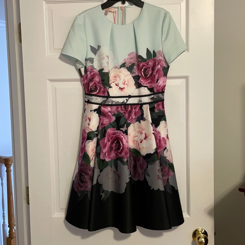 Ted Baker mint skater dress